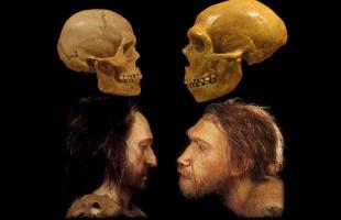 Neanderthal-Sapiens: did the DNA crossing occurred 50-60 thousand years ago?