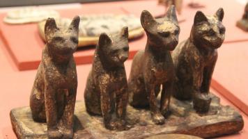 Cambyses, the cats and the invasion of Egypt