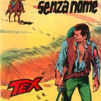 Tex Nr. 203:  Il cowboy senza nome      
