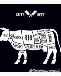 Beef cuts names