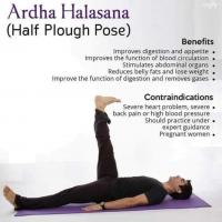 Half Plough Pose - Ardha Halasana