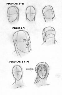 Heads: Figures 1 to 7