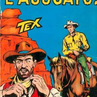 Tex Nr. 025:   Lagguato!                