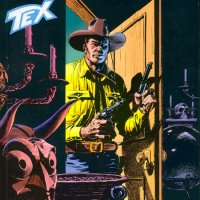 Tex Nr. 504:  Il covo del male          