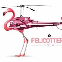 Il Felicottero Rosa