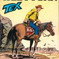 Tex Nr. 343:  West Fork                 