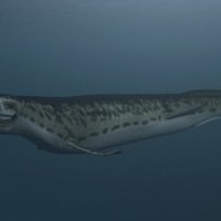 Miners Discover 70-Million-Year-Old Sea Monster in Canada