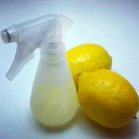 How to make a lemon toilet cleaner