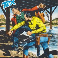 Tex Nr. 532:  Golden Arrow              