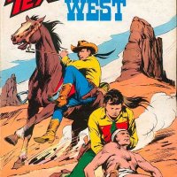 Tex Nr. 250:  Il solitario del West     