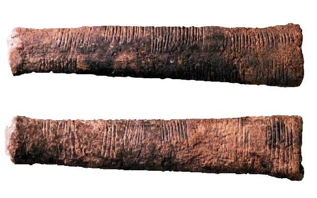 The Ishango Bones: the Origins of Numbers