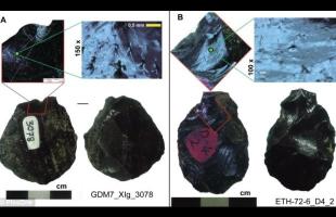 The tool that dates back the appearance of man by 85 thousand years