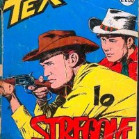 Tex Nr. 049:   Lo stregone               