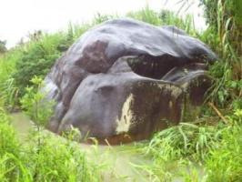 The mysterious Jinkiori monolith, heritage of the Huachipaeri culture