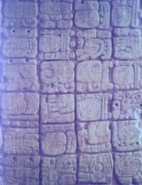 The enigma of Mayan writing