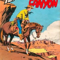 Tex Nr. 247:  Sfida nel canyon          
