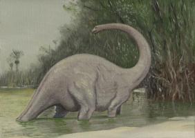 The Mokele-mbembe: an unsolved mystery