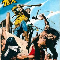 Tex Nr. 499:  Gli eroi del Texas        