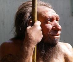 How a Neanderthal Homo would probably have looked like
