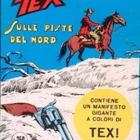 Tex Nr. 122:  Sulle piste del Nord      