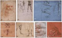 The Leonardo da Vinci’s drawings investigated. The drawings currently housed in the Royal Library of
