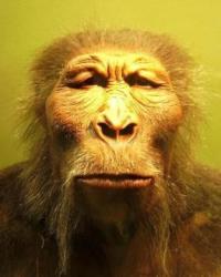 Migrations and human demography from the origins to the 21st century