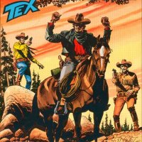 Tex Nr. 526:  I fratelli Donegan        