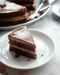 Chocolate Custard Cake 🍰🍫