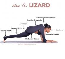 How to Lizard