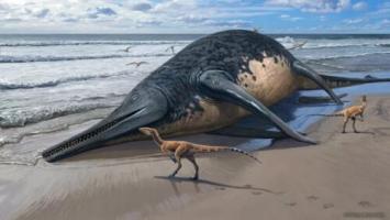 Fossil of what could be the largest marine reptile to ever exist