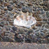 Trip within UK: Shells