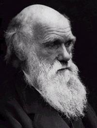 Charles Darwin: The Role of Natural Selection