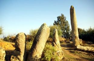 Giants in North Africa: the dark past of the Cromlech of M'zora