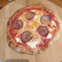 Pizza salame sardo e parmigiano 