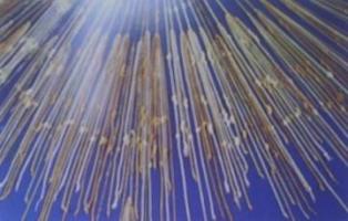 Quipu and Quellca: numbers and writing of the Incas