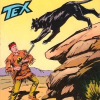Tex Nr. 348:  La roccia del corvo       