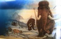 Mammoths and early humans