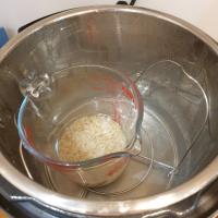 Brown rice short grain Pot-in-pot
