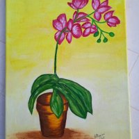 Vaso di orchidee 