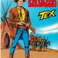Tex Nr. 319:  Il ragazzo selvaggio      