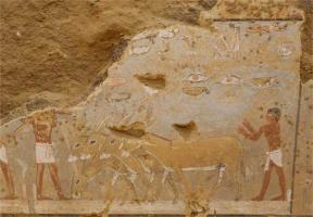 Egyptian tomb discovered with scenes of daily life dating back more than four m