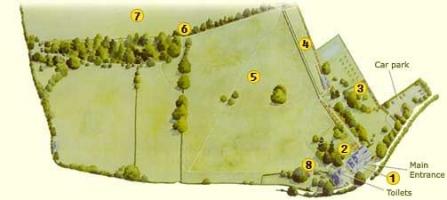 Diagram of the Charles Darwin Family Home-Site at Down