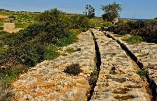 The Stone Tracks of Malta's Bronze Age