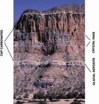Figure showing Rocky cliffs along Namibias Skeleton Coast.