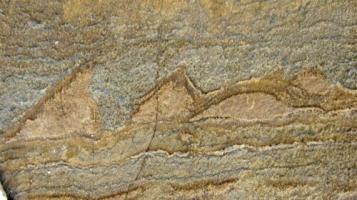 World's oldest fossils were found in Greenland