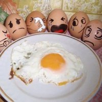Funny picture: eggs.