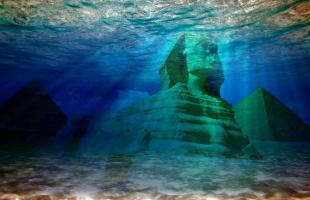 A fossil suggests that the pyramids were in the past submerged under the sea