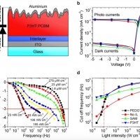 Interface Trap States in Organic Photodiodes