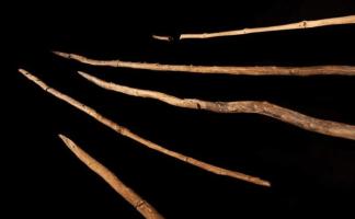 The wood technology in the paleolithic era: Neanderthal discoveries