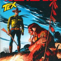Tex Nr. 524:  I due nemici              